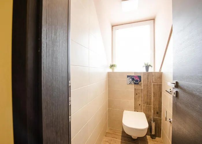 Brigitte 布拉迪斯拉发