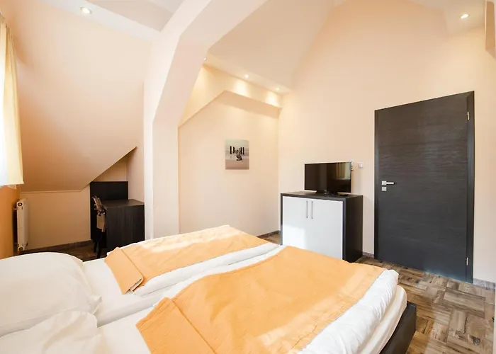 Brigitte 布拉迪斯拉发