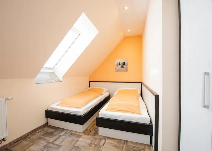 Brigitte 布拉迪斯拉发