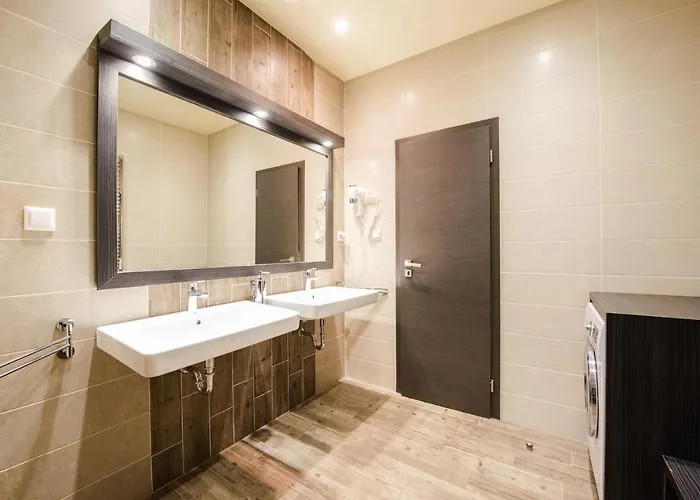 Brigitte 布拉迪斯拉发